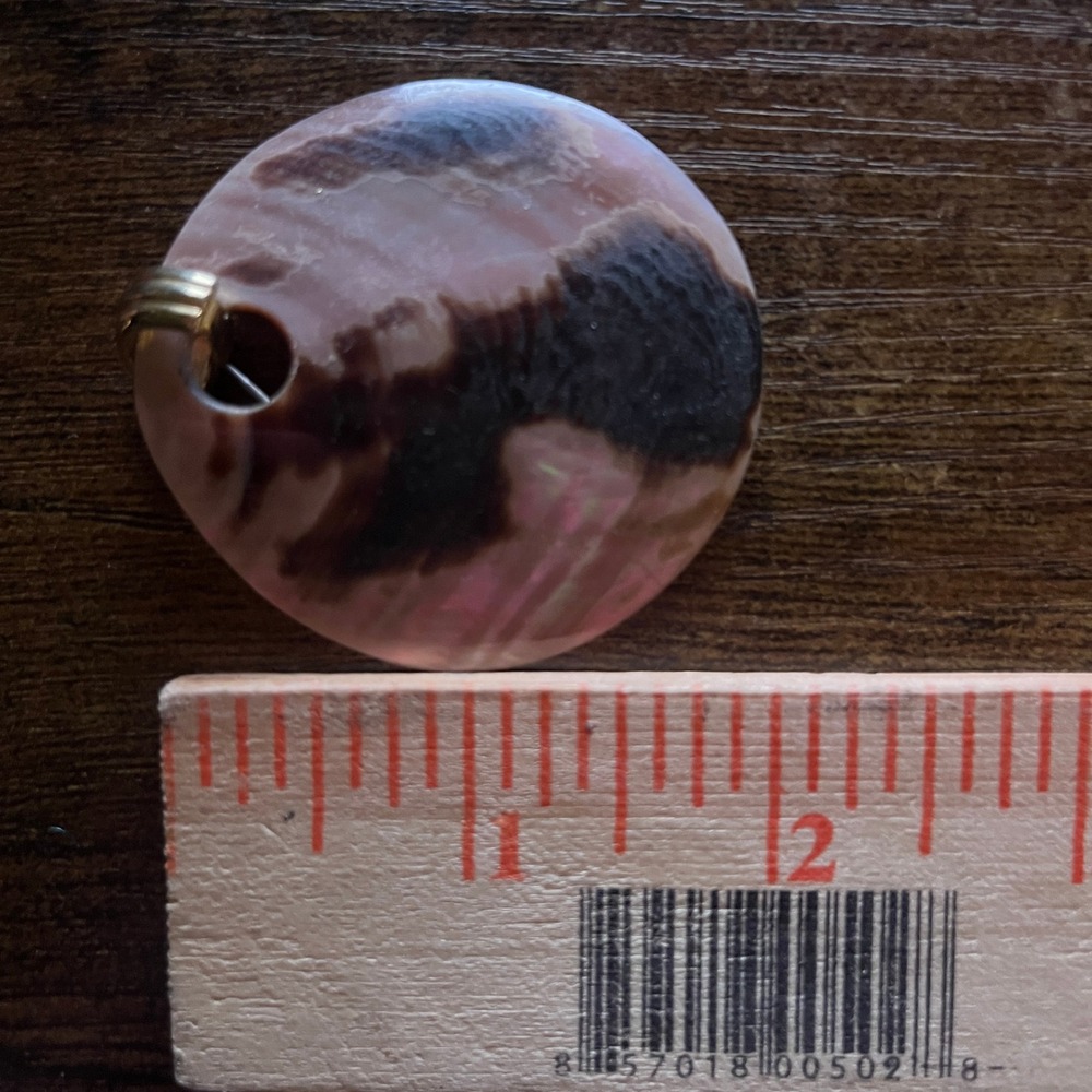 Vintage Mother of Pearl Tortoise Shell Earrings - Picture 4 of 4